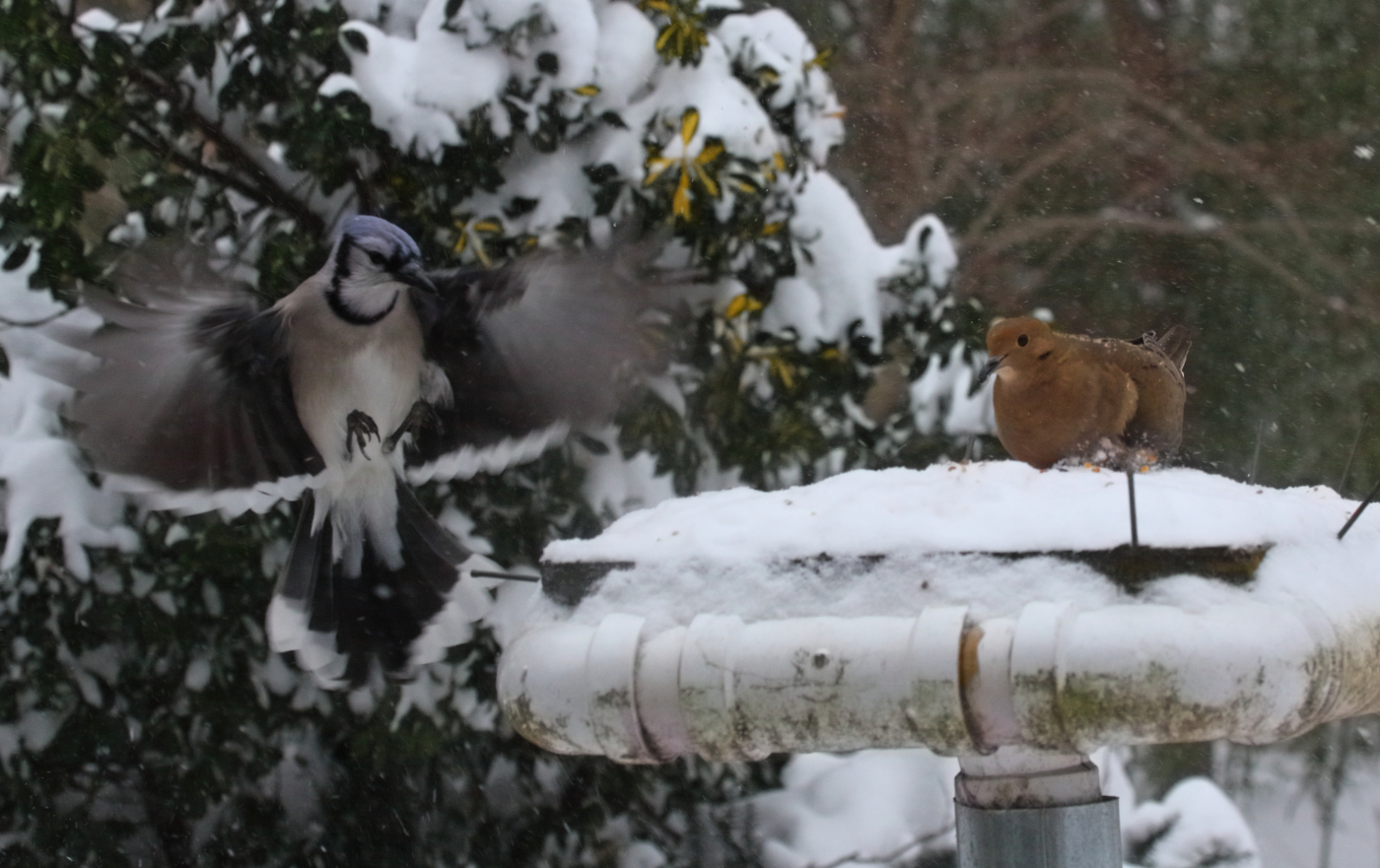 2015 01 27 HTP 000021484e (2)
